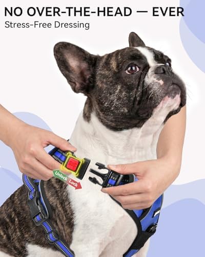 Joytale No Pull Dog Harness & Seat Belt, Easy On 3-Buckle - Image 2
