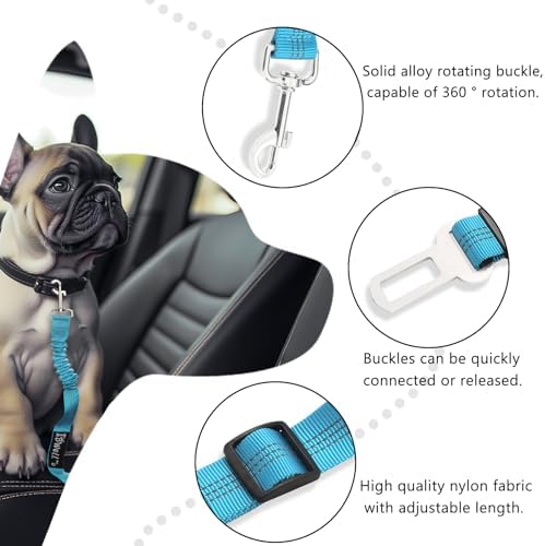 IBWell Dog Seat Belt with Elastic Bungee Leash, Car Seat Belt - Image 3