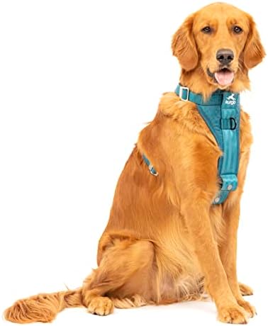 Kurgo TRU-Fit Dog Harness, Crash Tested Car Seat Belt, by Kurgo