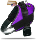DOGGYKINGDOM No Choke Dog Harness by DOGGYKINGDOM%C2%AE