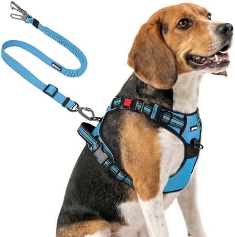 Joytale No Pull Dog Harness & Seat Belt, Easy On 3-Buckle, Sky Blue by Joytale