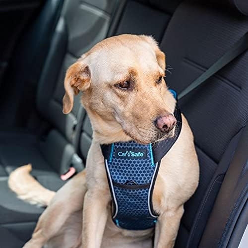 CarSafe Crash Tested Dog Safety Harness | Size L - Image 2