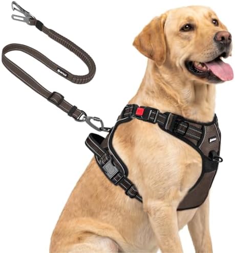 Joytale No Pull Dog Harness & Seat Belt, Easy On 3-Buckle by Joytale
