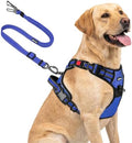 Joytale No Pull Dog Harness & Seat Belt, Easy On 3-Buckle by Joytale