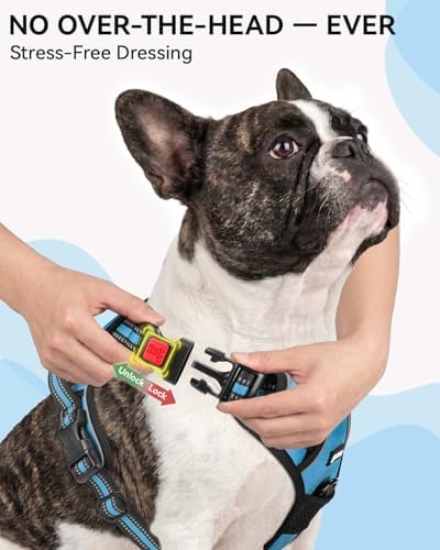 Joytale No Pull Dog Harness & Seat Belt, Easy On 3-Buckle, Sky Blue - Image 2