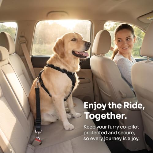 BLMHTWO Dog Seat Belt - Image 3