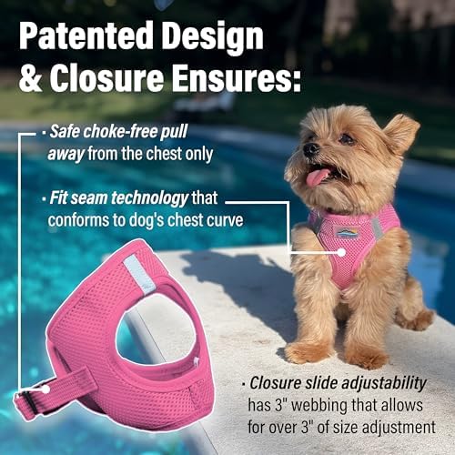 Doggie Design Dog Harness - Image 3
