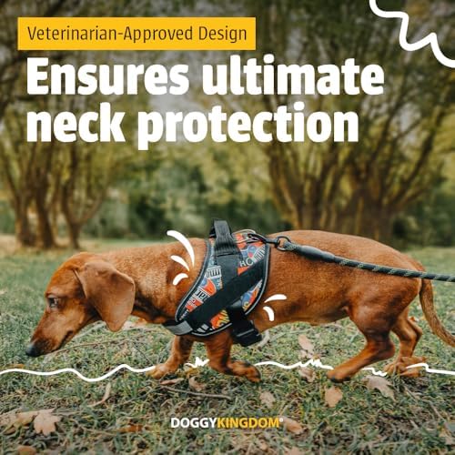 DOGGYKINGDOM No Choke Dog Harness - Image 3