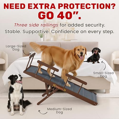 Foldable Dog Ramp for Couch - Image 2