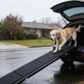Dog Ramp for Car, Folding Dog Ramp by SYING88
