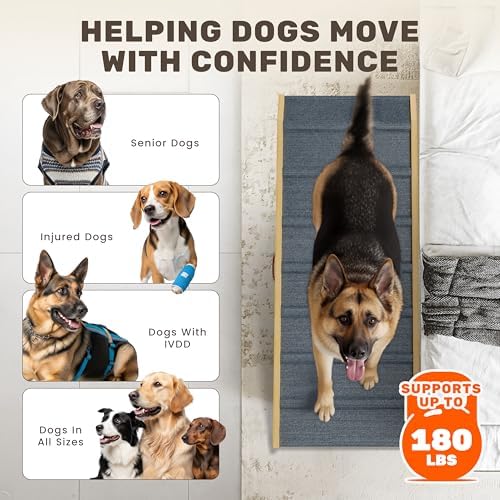 Foldable Dog Ramp for Couch - Image 6
