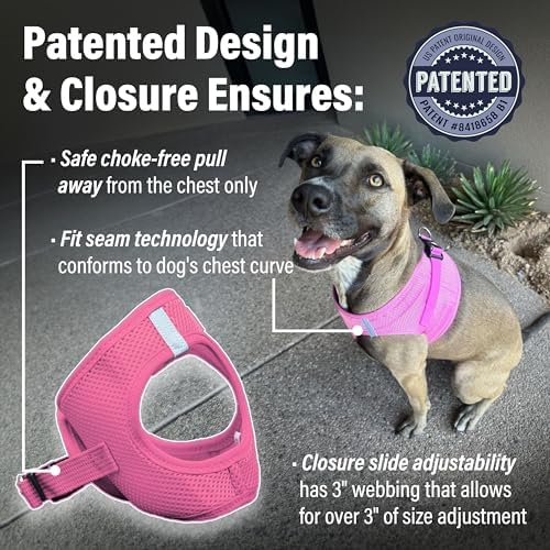 Doggie Design Dog Harness - Image 3