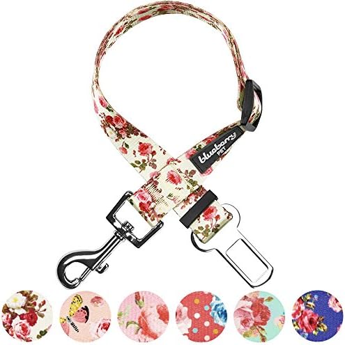 Blueberry Pet 8 Patterns Spring Scent Inspired Pink Rose Print Ivory Adjustable - Image 5