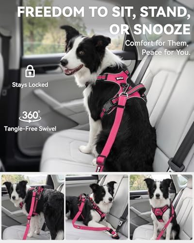 Joytale 3-in-1 Bungee Dog Seat Belt - Image 5