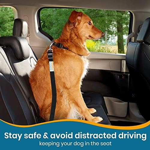 PAWBEE 2-Pack Dog Seat Belts for Cars - Image 5