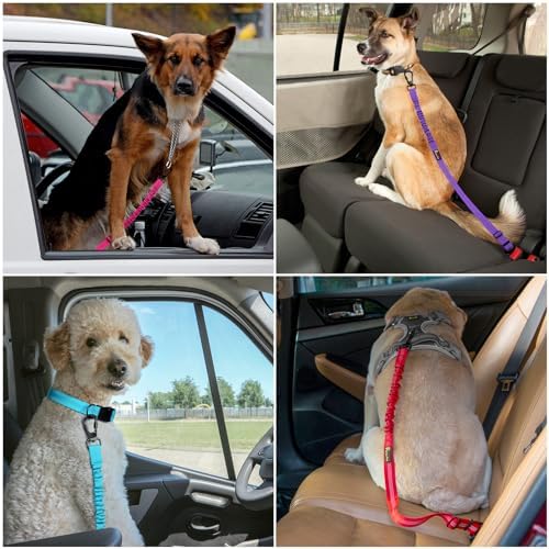 Plutus Pet Dog Seat Belt for Car, Adjustable Harness - Image 7