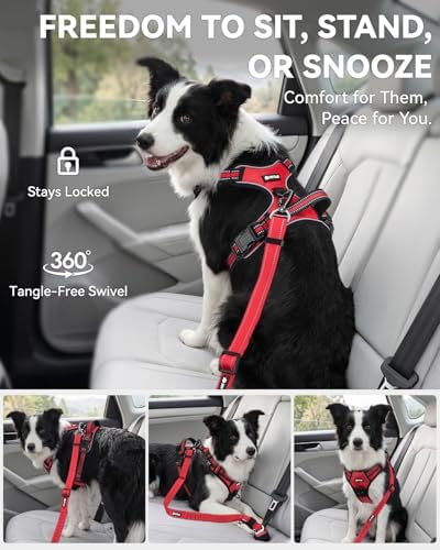 Joytale 3-in-1 Bungee Dog Seat Belt - Image 5
