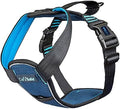 CarSafe Crash Tested Dog Safety Harness | Size L by CompanyofAnimals