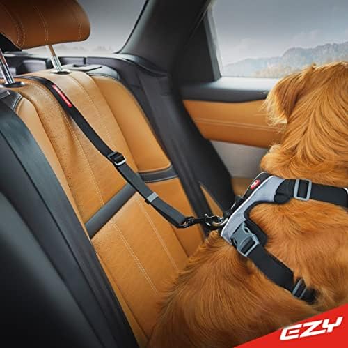 EzyDog Click ISOFIX Cargo - Image 2