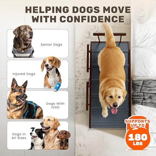 Foldable Dog Ramp for Couch - Image 6