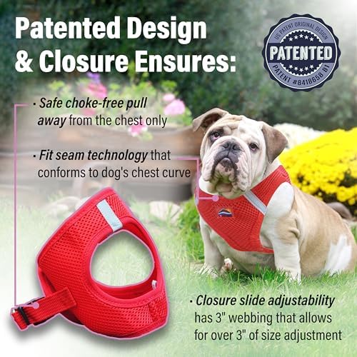 Doggie Design Dog Harness - Image 3