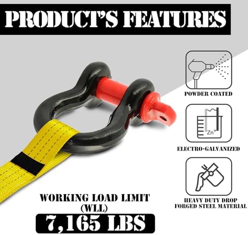5/8" D Ring Shackle with 3/4" Screw Pin, 3.25T Working Load Limit / 19.5T - Image 2