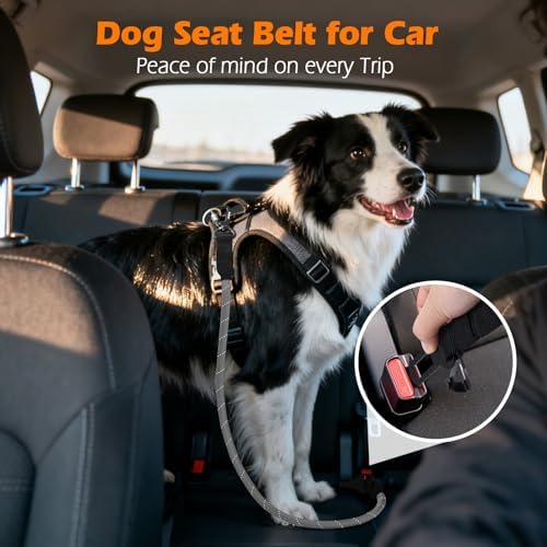 PetBonus Dog Seat Belt for Car, Durable Rope Dog Car Harness for Vehicle - Image 3