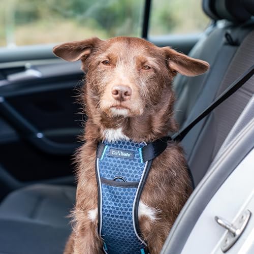 CarSafe Crash Tested Dog Safety Harness | Size S - Image 2