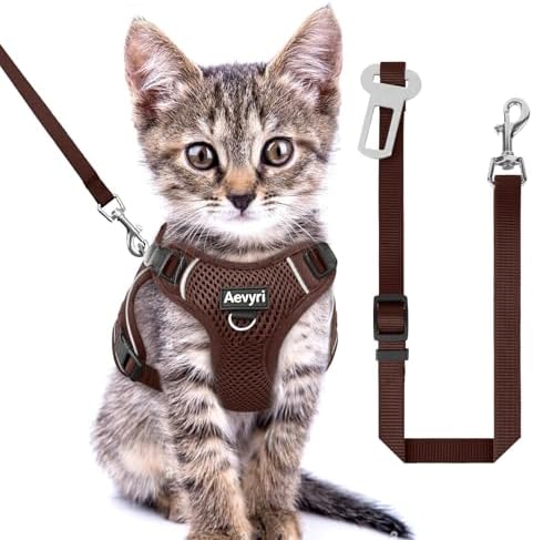 Cat Harness and Leash Set by Unknown