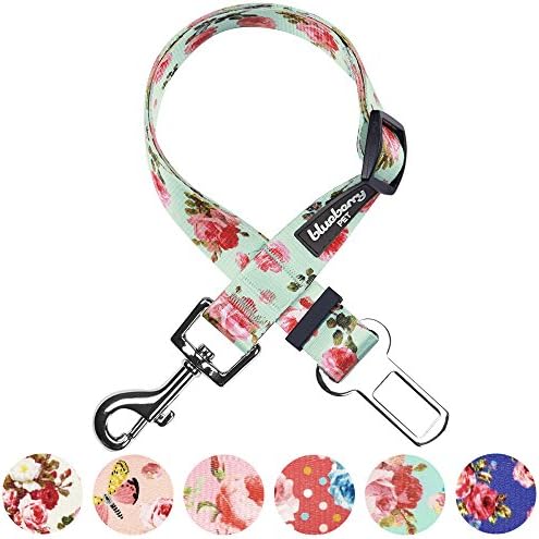 Blueberry Pet 8 Patterns Spring Scent Inspired Floral Rose Print Turquoise - Image 5