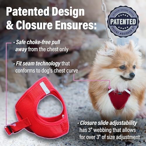 Doggie Design Dog Harness - Image 2