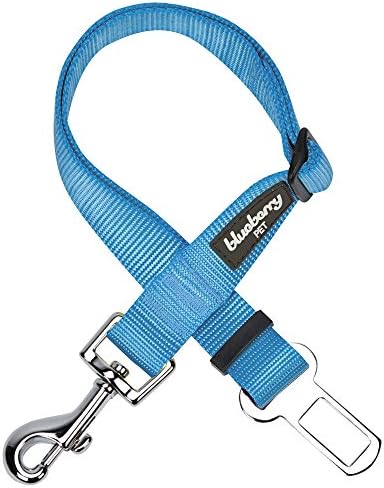 Blueberry Pet Dog Leash by BlueberryPet