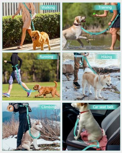 Hands Free Dog Leash with Seatbelt Set, Waist & Crossbody Dog Leash - Image 3