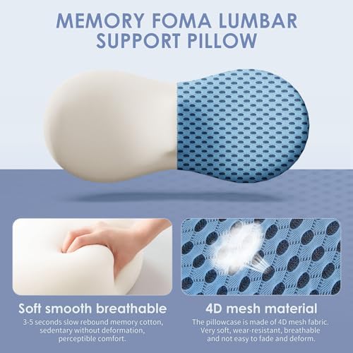 kasney Lumbar Support Pillow, Back Pillow - Image 3