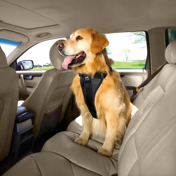 Kurgo Enhanced Strength Tru-Fit Smart Harness - Image 2