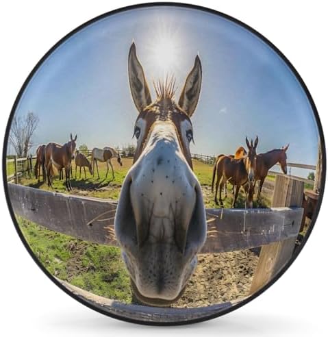 Rv Spare Tire Cover Wheel Funny Animal Donkey Tire Covers Wheel Protectors by FengQuGou