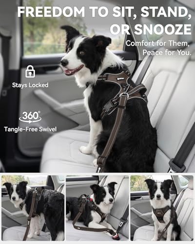 Joytale 3-in-1 Bungee Dog Seat Belt - Image 5