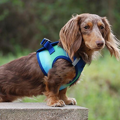 Doggie Design No Choke Dog Harness - Image 3
