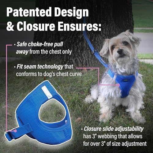 Doggie Design Dog Harness - Image 3