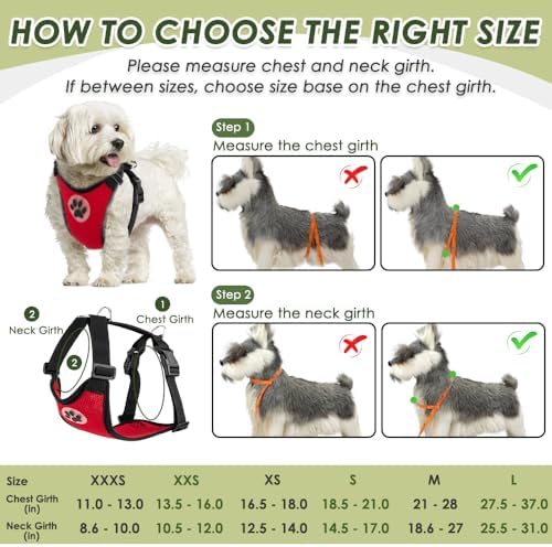 SlowTon Dog Seat Belt and Harness - Image 6