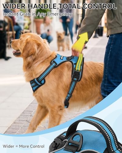 Joytale No Pull Dog Harness & Seat Belt, Easy On 3-Buckle, Sky Blue - Image 5