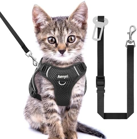 Cat Harness, Cat Harness and Leash by Unknown