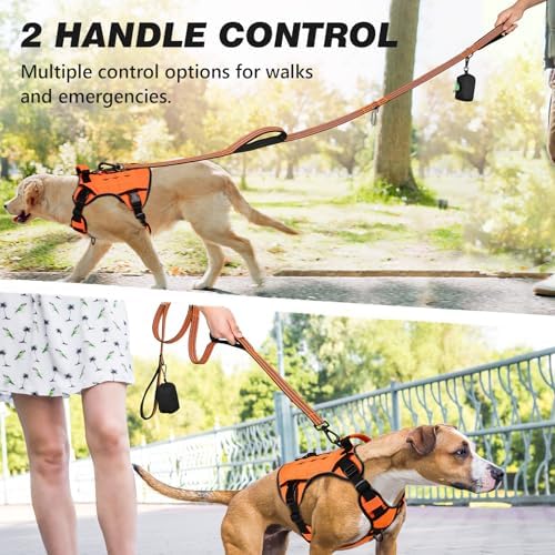 Double Handle Dog Leash with Poop Bag Holder and Car Seat Belt Buckle - Image 5