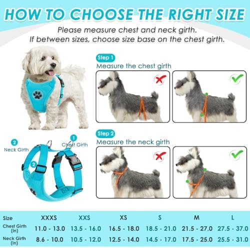 SlowTon Dog Seat Belt and Harness - Image 5