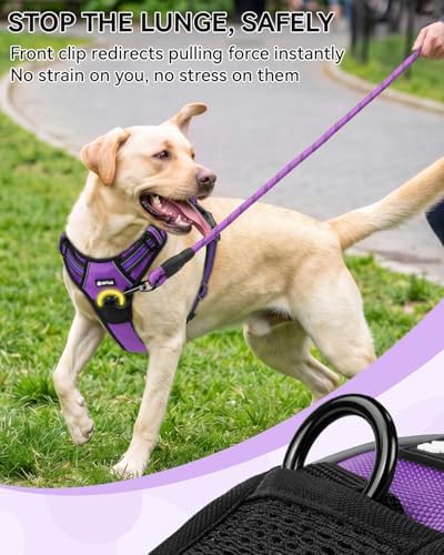 Joytale No Pull Dog Harness & Seat Belt, Easy On 3-Buckle - Image 4