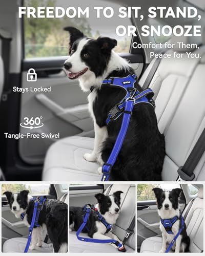 Joytale 3-in-1 Bungee Dog Seat Belt - Image 5