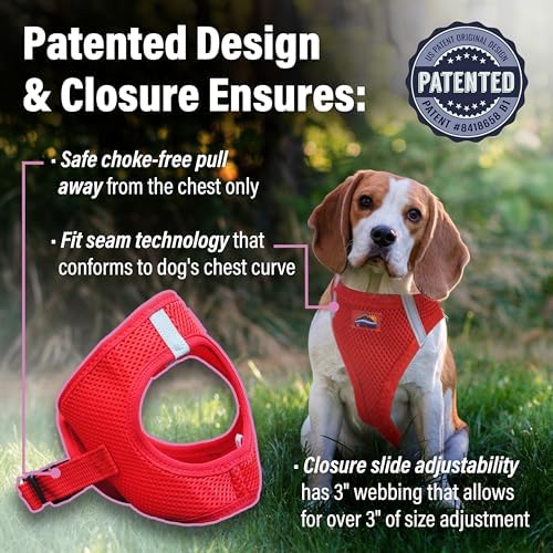 Doggie Design Dog Harness - Image 3