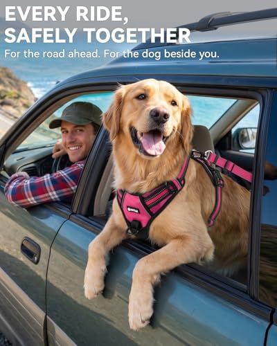 Joytale 3-in-1 Bungee Dog Seat Belt - Image 4