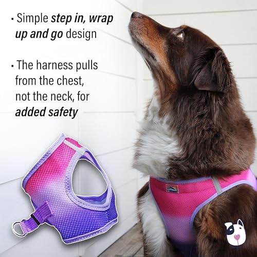 Doggie Design Dog Harness - Image 3