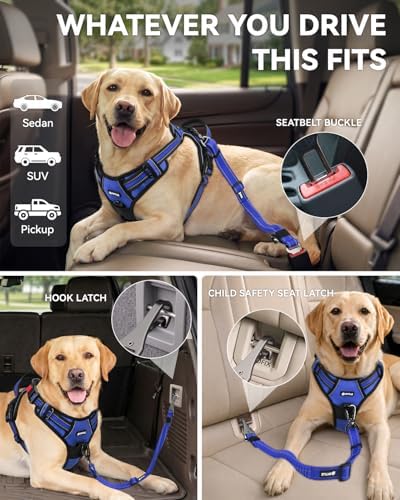 Joytale 3-in-1 Bungee Dog Seat Belt - Image 2